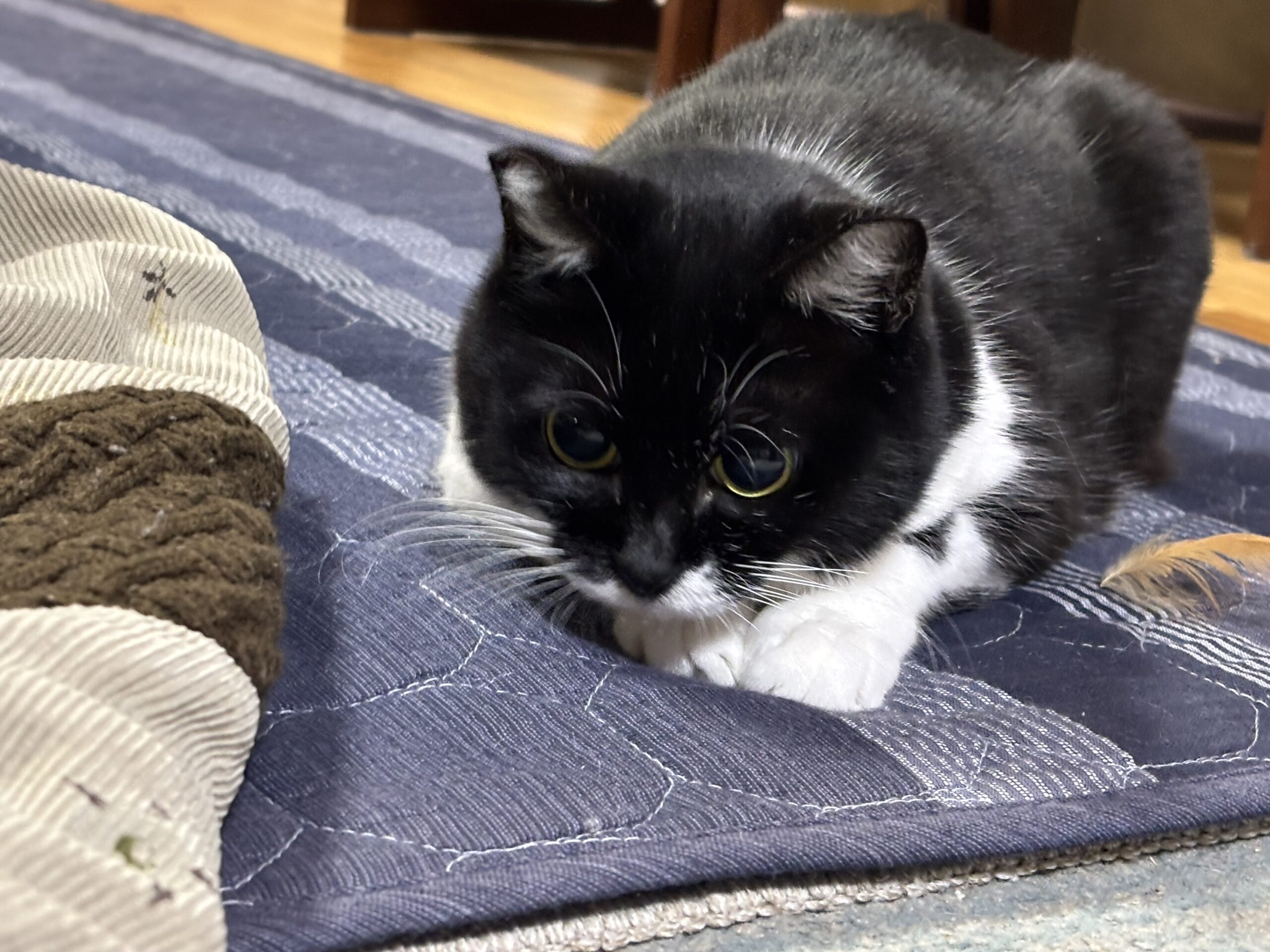 勉強しました 報告No.2