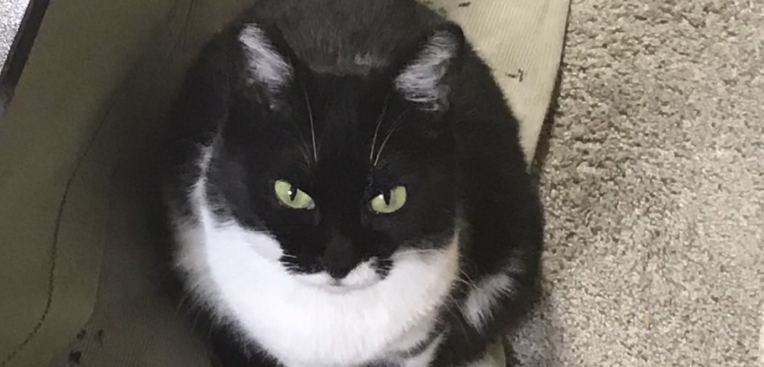 昨日の反省をどこに置いてきたのか